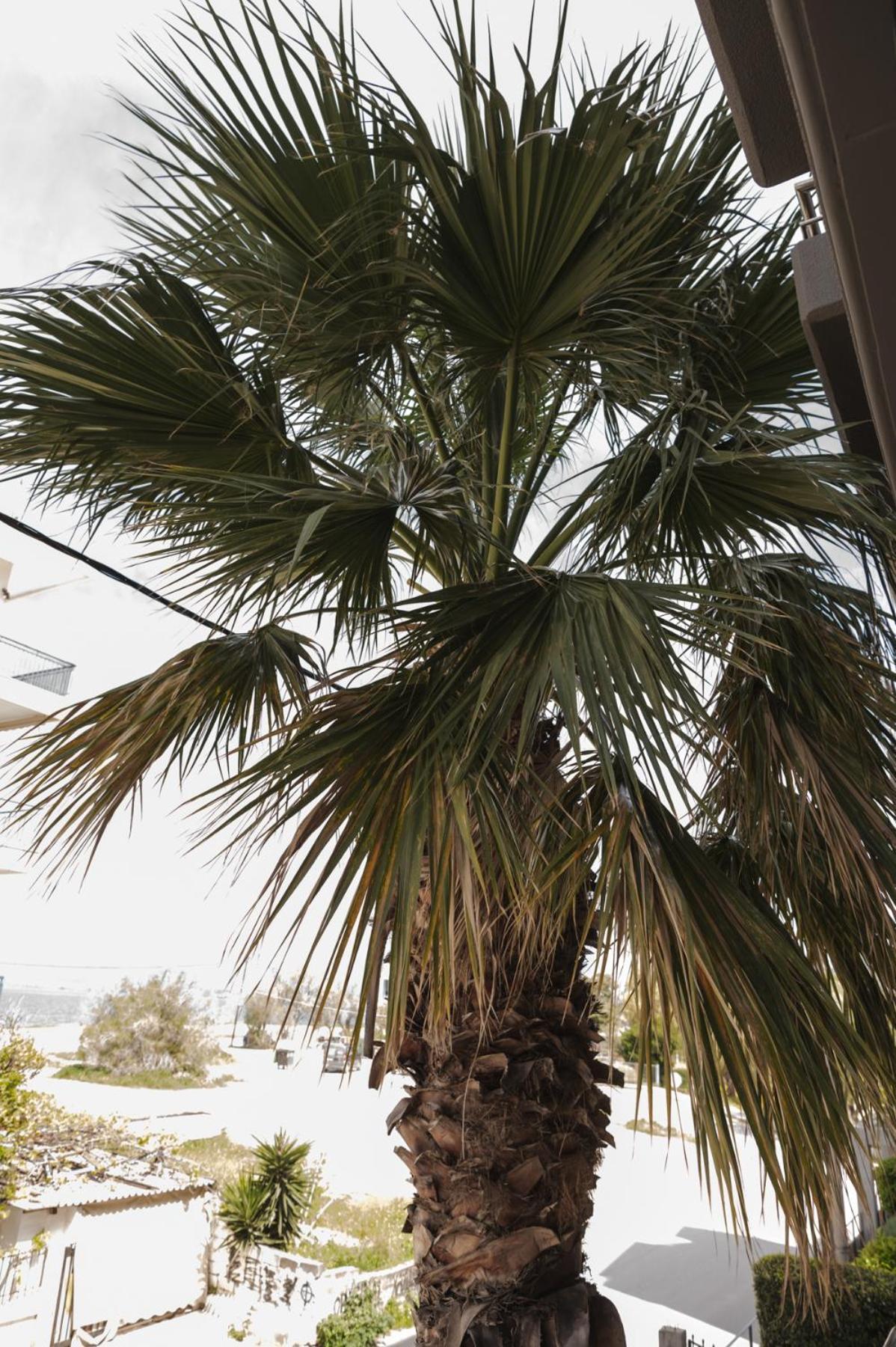 Chalkís Sea View Apartment מראה חיצוני תמונה